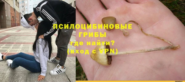 а пвп мука Аркадак