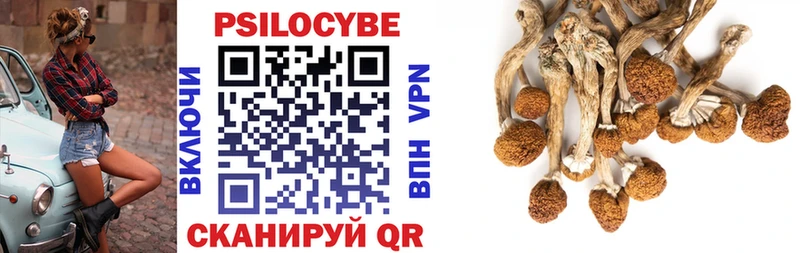 купить  цена  Приволжск  Псилоцибиновые грибы ЛСД 